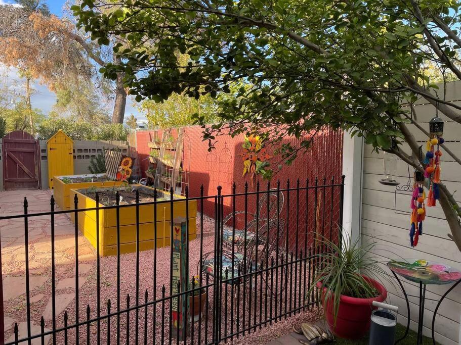 Encanto Cactus Flower Casita Phoenix Exteriér fotografie