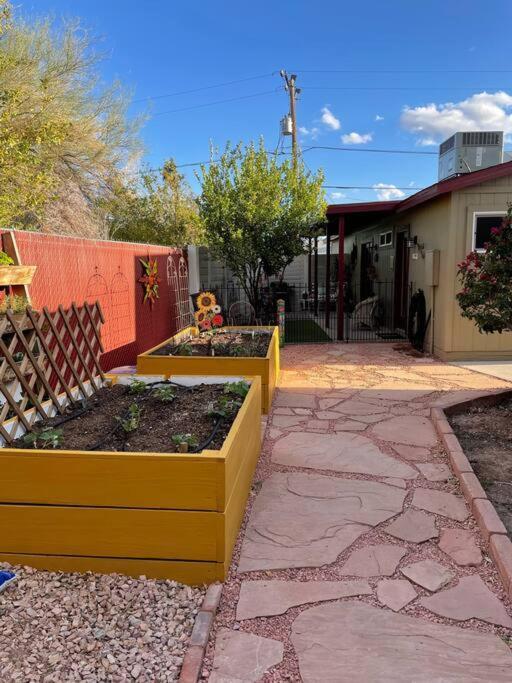 Encanto Cactus Flower Casita Phoenix Exteriér fotografie